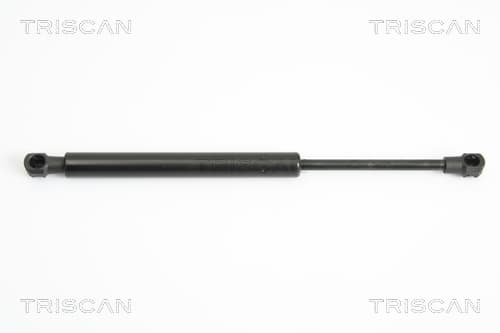Gasfjäder bak från TRISCAN