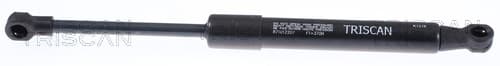 Gasfjäder bak — Bakaxel från TRISCAN