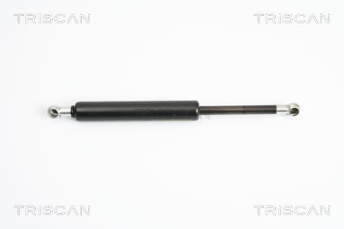 Gasfjäder bak från TRISCAN