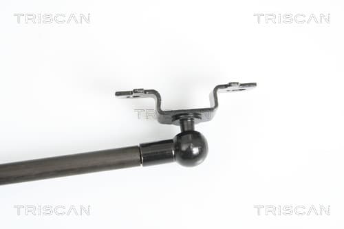 Gasfjäder bagageutrymme — Vänster från TRISCAN - bild 3