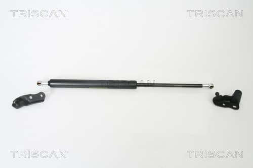 Gasfjäder bak från TRISCAN