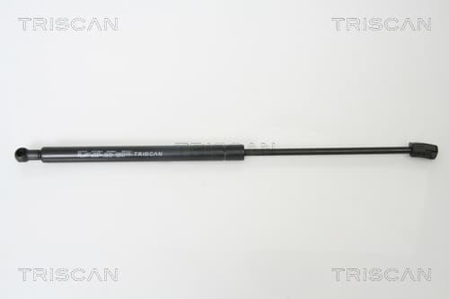 Gasfjäder bak från TRISCAN