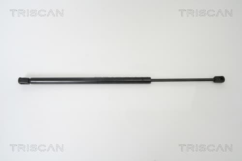 Gasfjäder bak från TRISCAN