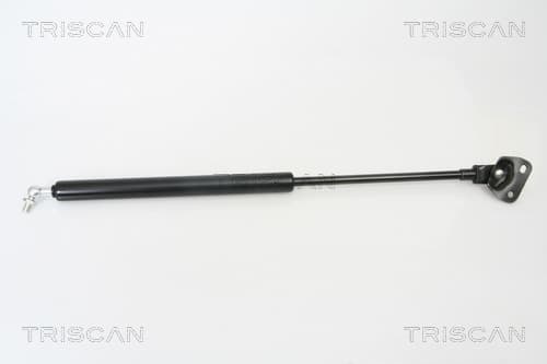 Gasfjäder bak från TRISCAN