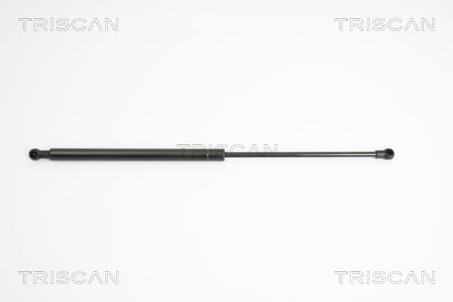 Gasfjäder bak från TRISCAN