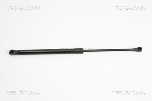 Gasfjäder bak från TRISCAN