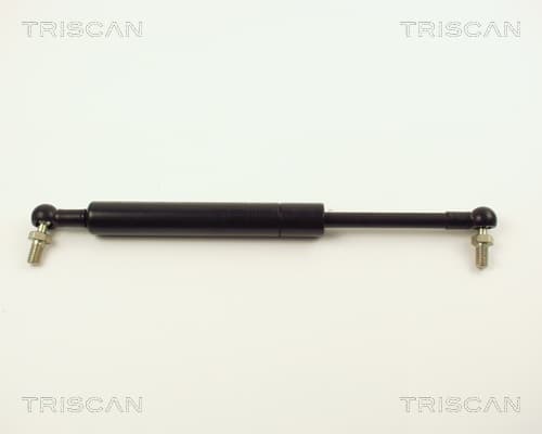 Gasfjäder bak från TRISCAN