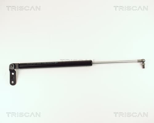 Gasfjäder bak från TRISCAN