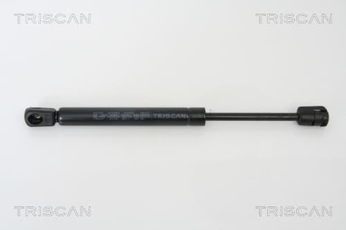 Gasfjäder bak från TRISCAN
