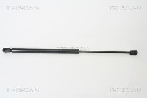 Gasfjäder bak från TRISCAN