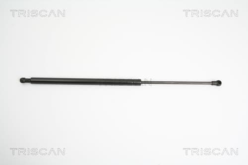 Gasfjäder bak från TRISCAN