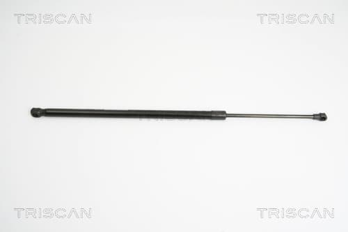 Gasfjäder bak från TRISCAN