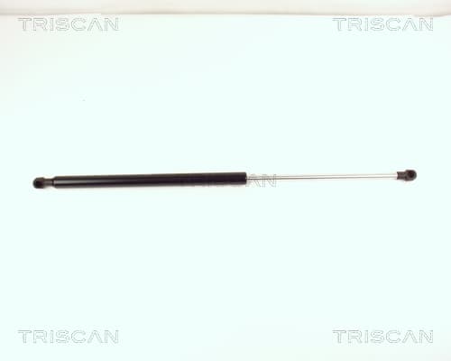 Gasfjäder bak från TRISCAN