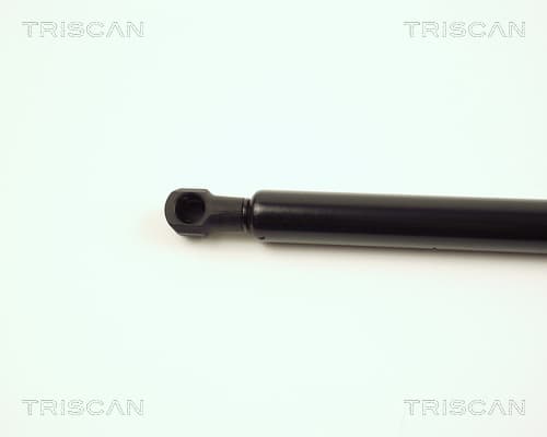 Gasfjäder bagageutrymme från TRISCAN - bild 2