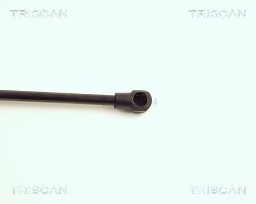 Gasfjäder bagageutrymme från TRISCAN - bild 3