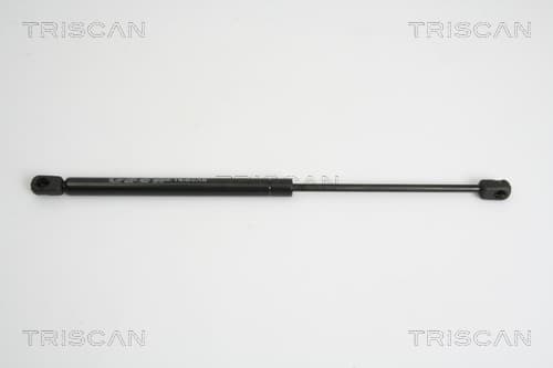 Gasfjäder bak från TRISCAN
