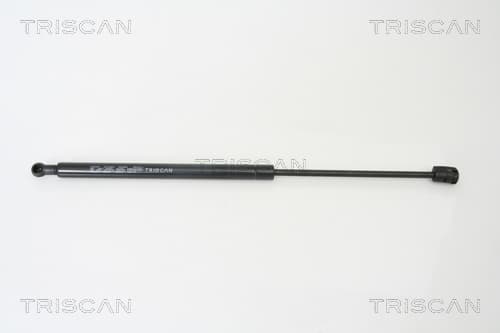 Gasfjäder bak från TRISCAN