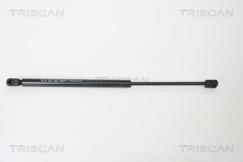 Gasfjäder bak från TRISCAN