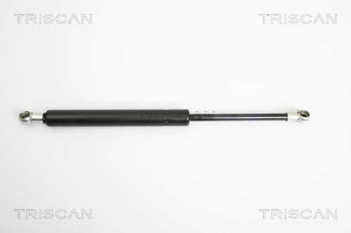 Gasfjäder bak från TRISCAN