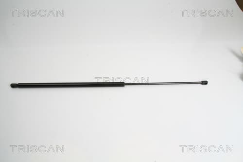 Gasfjäder bak från TRISCAN