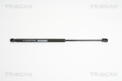 Gasfjäder bak från TRISCAN