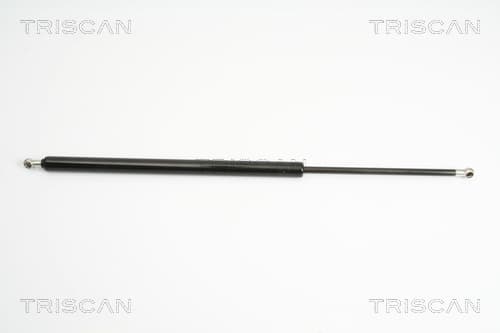 Gasfjäder bak från TRISCAN