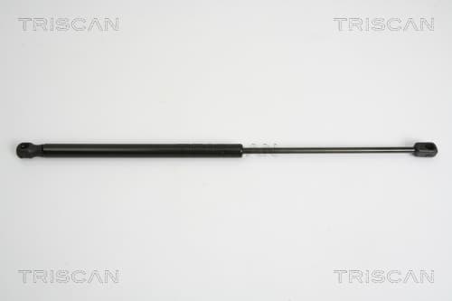 Gasfjäder bak från TRISCAN