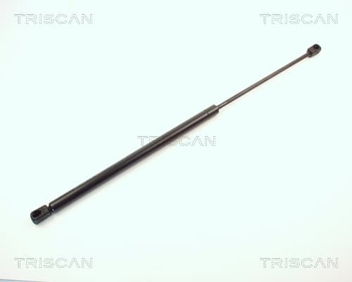 Gasfjäder bak från TRISCAN