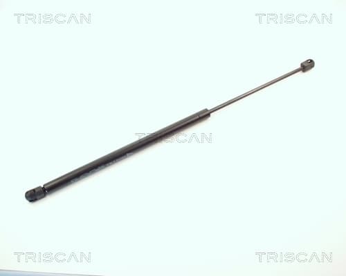 Gasfjäder bak från TRISCAN