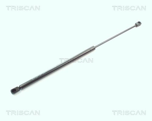 Gasfjäder bak från TRISCAN