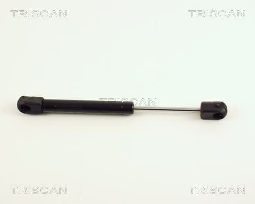 Gasfjäder bak från TRISCAN