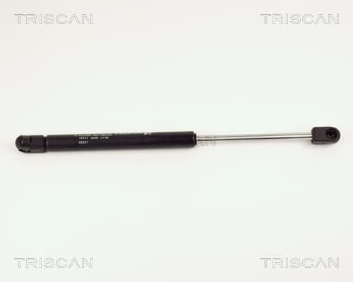 Gasfjäder bak från TRISCAN