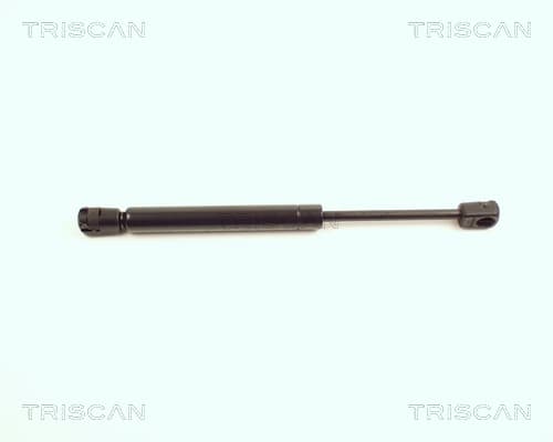 Gasfjäder bak från TRISCAN