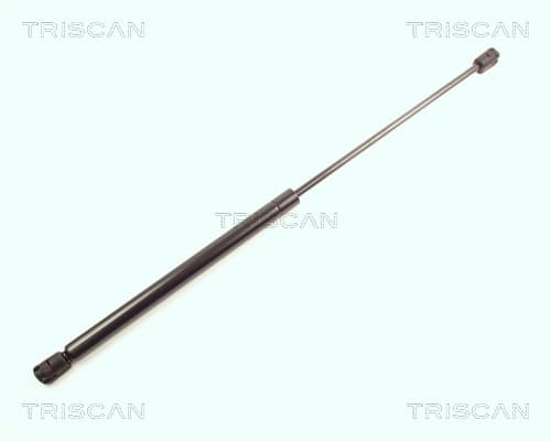 Gasfjäder bak från TRISCAN