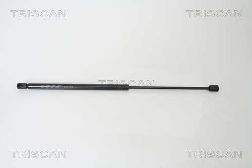 Gasfjäder bak från TRISCAN