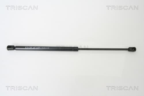 Gasfjäder bak från TRISCAN