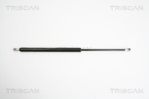 Gasfjäder bak från TRISCAN