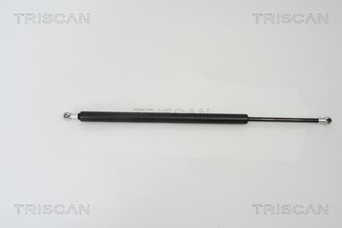 Gasfjäder bak från TRISCAN