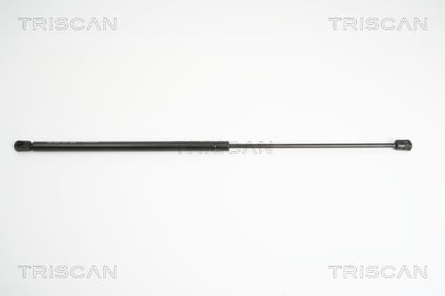Gasfjäder bak från TRISCAN