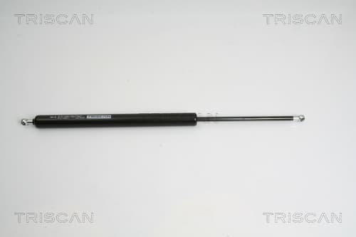 Gasfjäder bak från TRISCAN