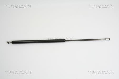 Gasfjäder bak från TRISCAN