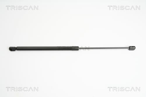 Gasfjäder bak från TRISCAN