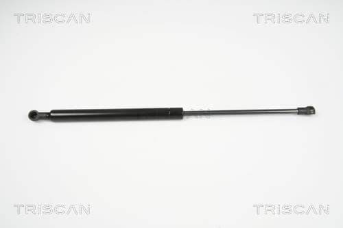 Gasfjäder bak från TRISCAN