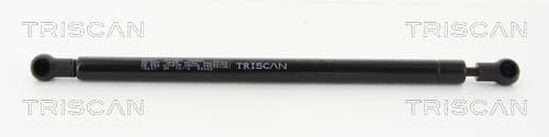 Gasfjäder bak från TRISCAN