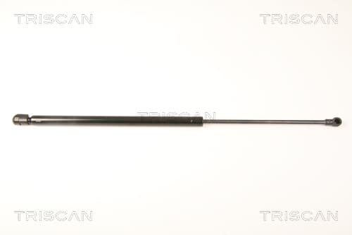 Gasfjäder bak från TRISCAN