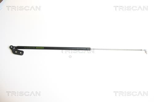 Gasfjäder bak — Vänster från TRISCAN