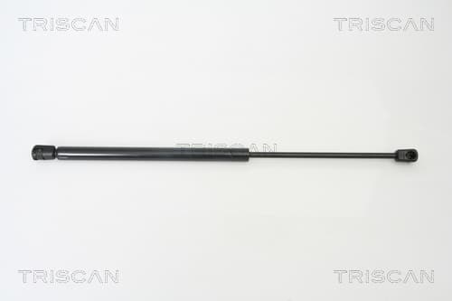 Gasfjäder bak från TRISCAN