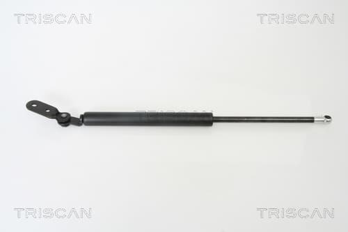 Gasfjäder bak från TRISCAN