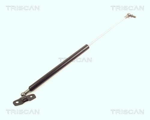 Gasfjäder bak från TRISCAN