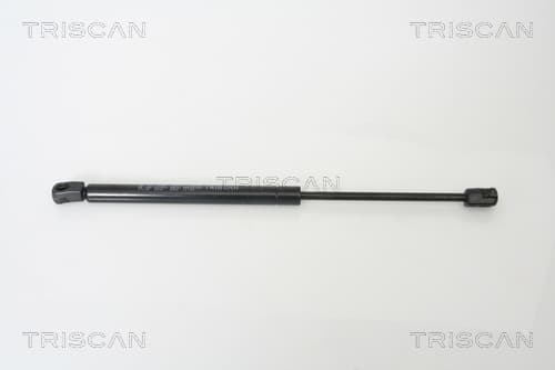 Gasfjäder bak från TRISCAN